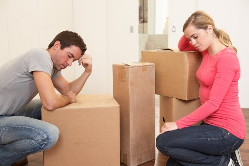 Organized packing workflow for a home relocation in Queenspark